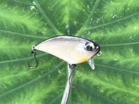 Image 2 of SPEEDBAITS Custom Airbrushed BFS Flatside Wakebait 6156