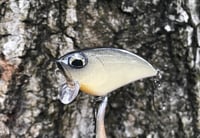 Image 4 of SPEEDBAITS Custom Airbrushed BFS Flatside Wakebait 6156