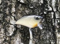 Image 5 of SPEEDBAITS Custom Airbrushed BFS Flatside Wakebait 6156