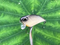 Image 3 of SPEEDBAITS Custom Airbrushed BFS Flatside Wakebait 6156