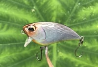 Image 1 of SPEEDBAITS Custom Airbrushed BFS Flatside Wakebait 6177