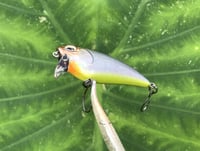 Image 2 of SPEEDBAITS Custom Airbrushed BFS Flatside Wakebait 6177