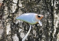 Image 5 of SPEEDBAITS Custom Airbrushed BFS Flatside Wakebait 6177