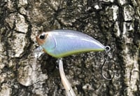 Image 6 of SPEEDBAITS Custom Airbrushed BFS Flatside Wakebait 6177