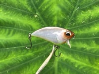 Image 3 of SPEEDBAITS Custom Airbrushed BFS Flatside Wakebait 6177