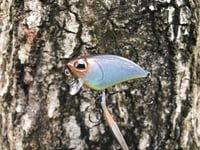 Image 7 of SPEEDBAITS Custom Airbrushed BFS Flatside Wakebait 6177
