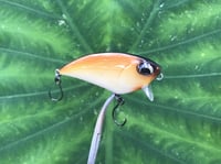 Image 1 of  SPEEDBAITS Custom Airbrushed BFS Flatside Wakebait 6195