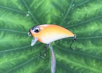 Image 2 of  SPEEDBAITS Custom Airbrushed BFS Flatside Wakebait 6195