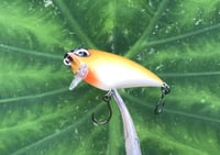Image 3 of  SPEEDBAITS Custom Airbrushed BFS Flatside Wakebait 6195