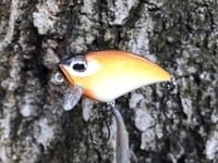 Image 6 of  SPEEDBAITS Custom Airbrushed BFS Flatside Wakebait 6195