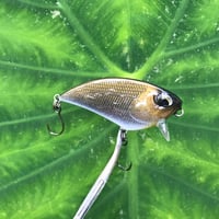Image 1 of SPEEDBAITS Custom Airbrushed BFS Flatside Wakebait 6306