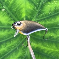 Image 2 of SPEEDBAITS Custom Airbrushed BFS Flatside Wakebait 6306