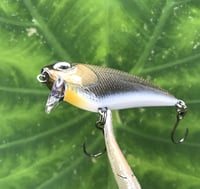 Image 3 of SPEEDBAITS Custom Airbrushed BFS Flatside Wakebait 6306