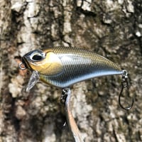 Image 4 of SPEEDBAITS Custom Airbrushed BFS Flatside Wakebait 6306