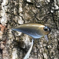 Image 5 of SPEEDBAITS Custom Airbrushed BFS Flatside Wakebait 6306