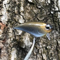 Image 6 of SPEEDBAITS Custom Airbrushed BFS Flatside Wakebait 6306