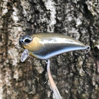 Image 7 of SPEEDBAITS Custom Airbrushed BFS Flatside Wakebait 6306