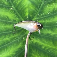 Image 1 of SPEEDBAITS Custom Airbrushed BFS Flatside Wakebait 6333