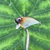 Image 2 of SPEEDBAITS Custom Airbrushed BFS Flatside Wakebait 6333