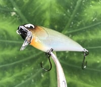 Image 3 of SPEEDBAITS Custom Airbrushed BFS Flatside Wakebait 6333
