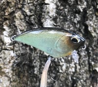 Image 5 of SPEEDBAITS Custom Airbrushed BFS Flatside Wakebait 6333