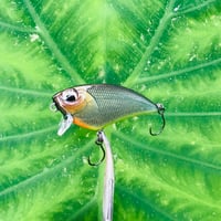 Image 3 of SPEEDBAITS Custom Airbrushed BFS Flatside Wakebait 6366
