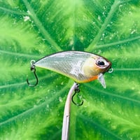 Image 6 of SPEEDBAITS Custom Airbrushed BFS Flatside Wakebait 6366