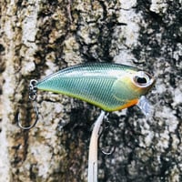 Image 7 of SPEEDBAITS Custom Airbrushed BFS Flatside Wakebait 6366