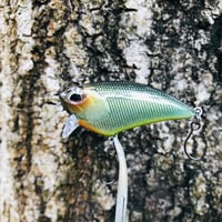 Image 8 of SPEEDBAITS Custom Airbrushed BFS Flatside Wakebait 6366