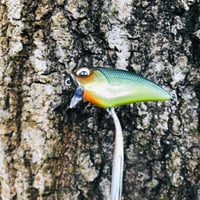 Image 9 of SPEEDBAITS Custom Airbrushed BFS Flatside Wakebait 6366