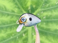 Image 6 of SPEEDBAITS Custom Airbrushed Crankbait 2 PACK BFS 6699