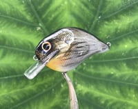 Image 1 of SPEEDBAITS Custom Airbrushed S-CRANK 1.5 Squarebill Crankbait  6948