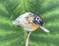 Image 2 of SPEEDBAITS Custom Airbrushed S-CRANK 1.5 Squarebill Crankbait  6948
