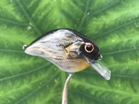 Image 3 of SPEEDBAITS Custom Airbrushed S-CRANK 1.5 Squarebill Crankbait  6948