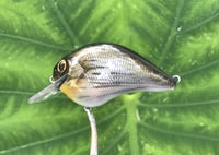 Image 5 of SPEEDBAITS Custom Airbrushed S-CRANK 1.5 Squarebill Crankbait  6948