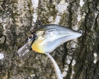 Image 8 of SPEEDBAITS Custom Airbrushed S-CRANK 1.5 Squarebill Crankbait  6948