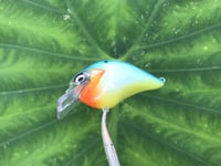 Image 3 of SPEEDBAITS Custom Airbrushed S-CRANK 1.5 Squarebill Crankbait  6978