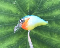 Image 4 of SPEEDBAITS Custom Airbrushed S-CRANK 1.5 Squarebill Crankbait  6978