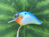 Image 5 of SPEEDBAITS Custom Airbrushed S-CRANK 1.5 Squarebill Crankbait  6978