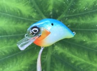 Image 6 of SPEEDBAITS Custom Airbrushed S-CRANK 1.5 Squarebill Crankbait  6978