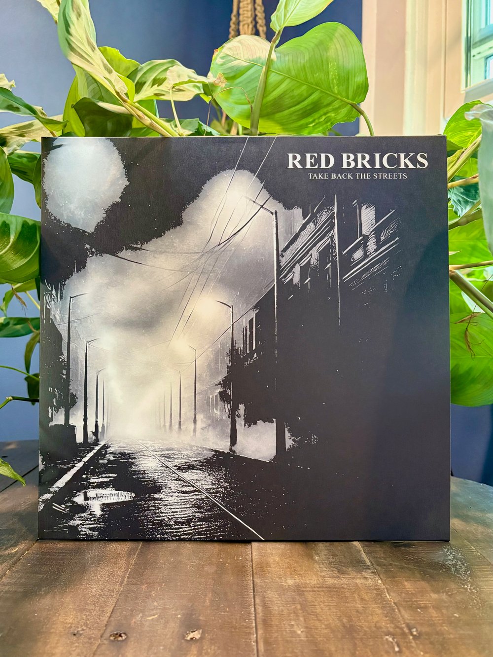 Red Bricks - Take Back The Streets LP