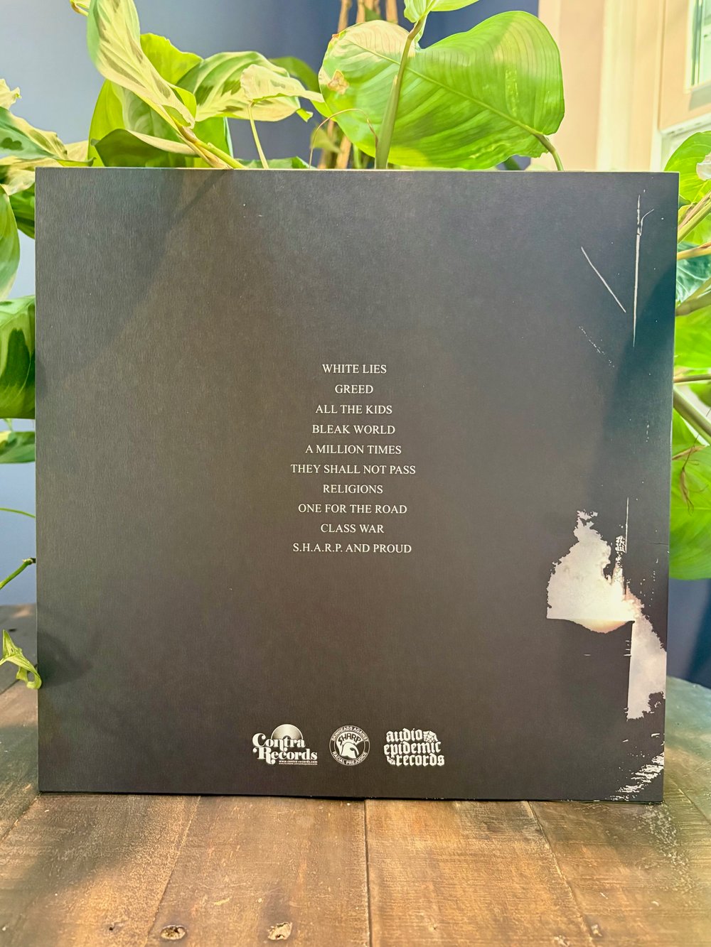 Red Bricks - Take Back The Streets LP