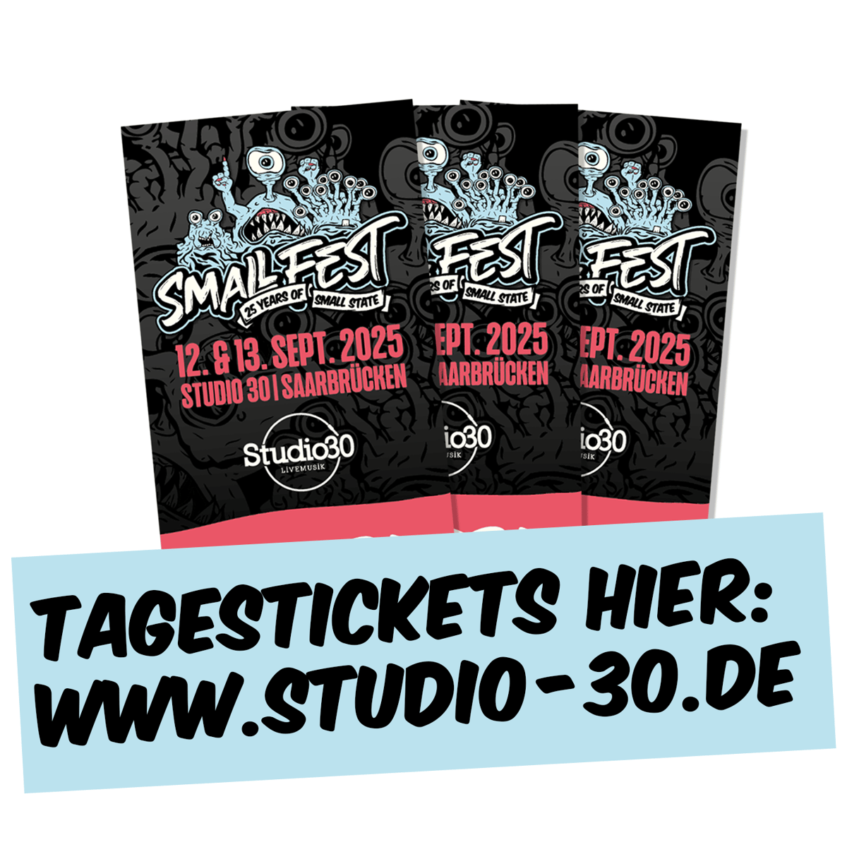 SMALL FEST - 25 YEARS OF SMALL STATE / TAGES-TICKET