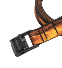 Image 2 of DOMEstics. Rust Belt