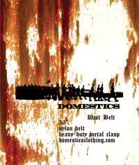 Image 4 of DOMEstics. Rust Belt