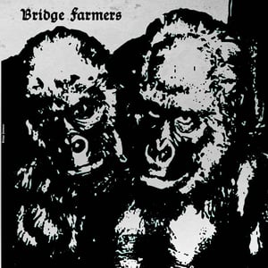 Image of Bridge Farmers - ST Vinyl LP