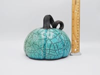 Image 5 of Turquoise Crackle Curly Stemmed Pumpkin
