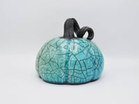 Image 1 of Turquoise Crackle Curly Stemmed Pumpkin