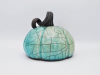 Image 3 of Turquoise Crackle Curly Stemmed Pumpkin