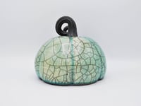Image 4 of Turquoise Crackle Curly Stemmed Pumpkin